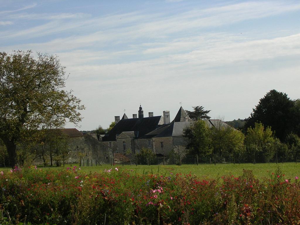 Chateau De La Noblaye Acomodação com café da manhã Lemere Exterior foto