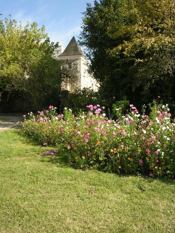 Chateau De La Noblaye Acomodação com café da manhã Lemere Exterior foto